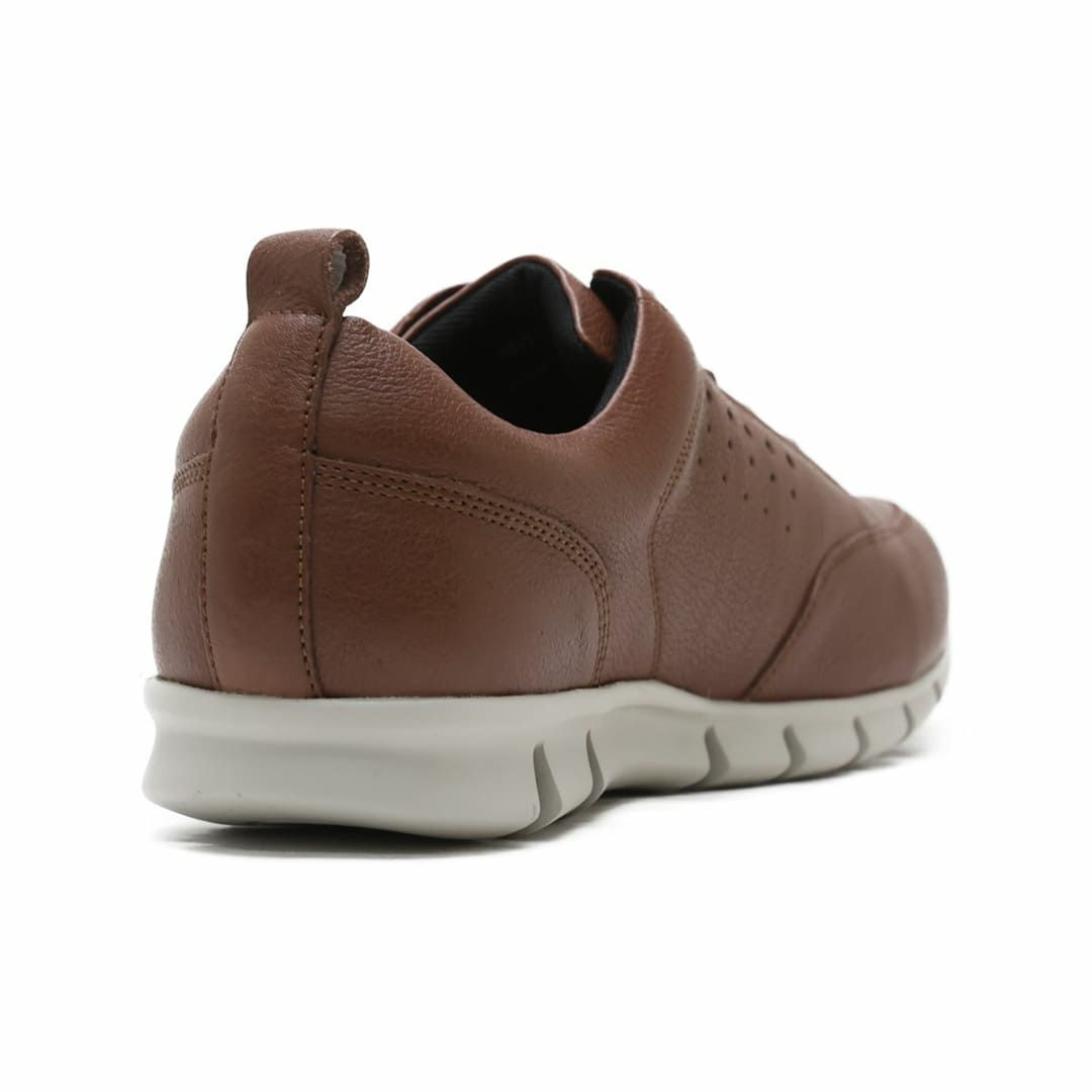 ハッシュパピー メンズ レザースニーカー m-7105t ブラウン 2