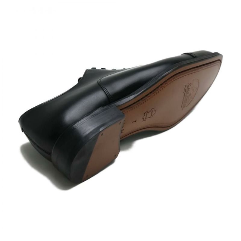 カルサーテス メンズ ドレスシューズ パンチドキャップトゥ CALZARTES