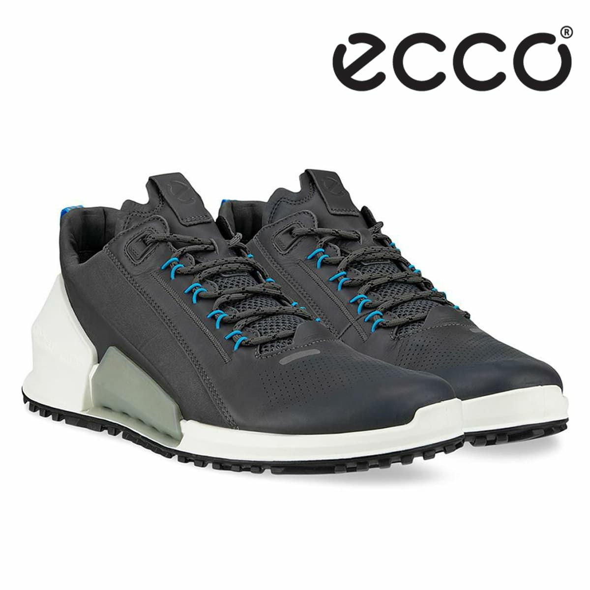 SALE セール ｜ エコー /