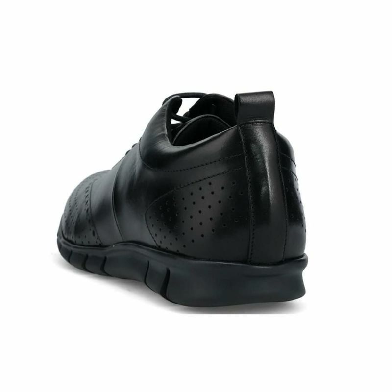 ハッシュパピー メンズ レザースニーカー m-7102tbkbk ブラック 4