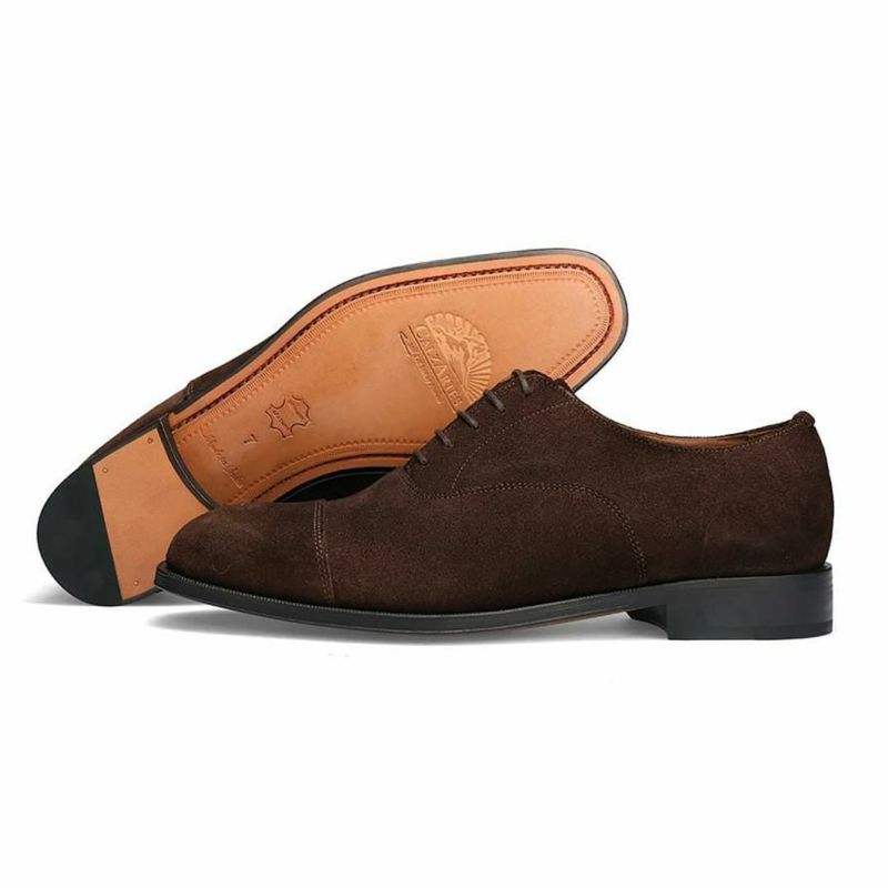 カルサーテス メンズ ドレスシューズ 内羽根ストレートチップ CALZARTES cz-705　ネイビー　5