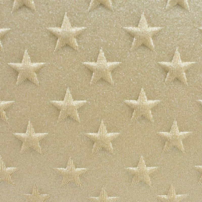 レーク バッグ ブリスティーナクキ スター ヴェール イタリア製 12