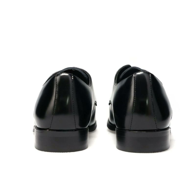 アリストプリモ メンズ ドレスシューズ 外羽根プレーントゥ 日本製 AristoPrimo a-8002