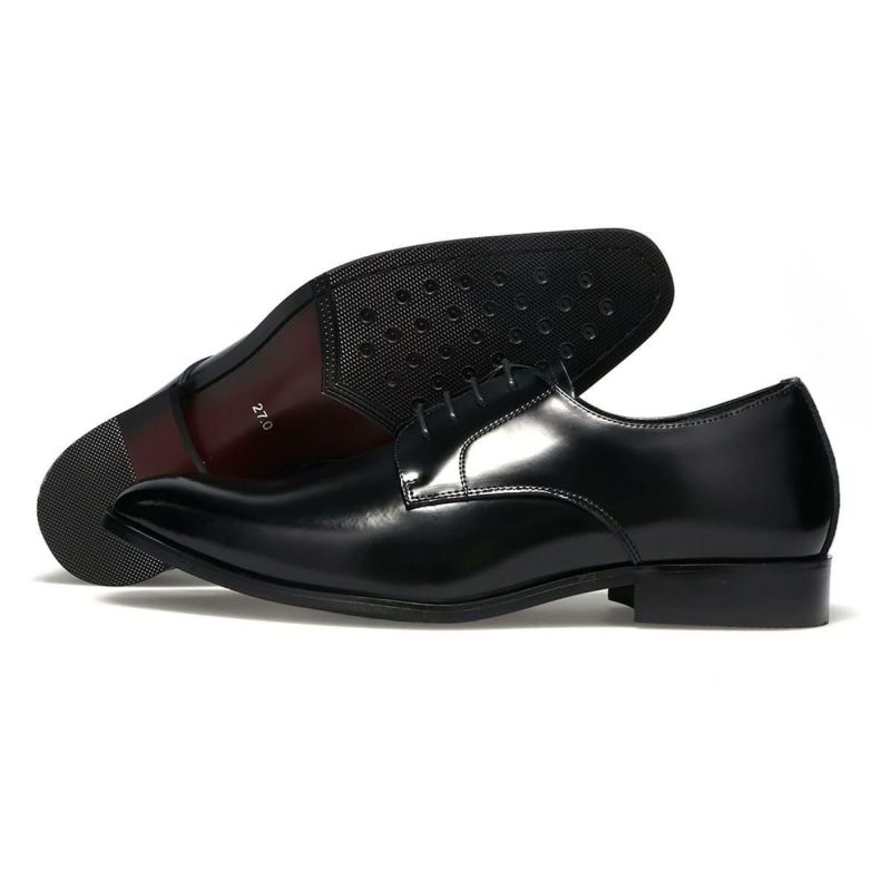 アリストプリモ メンズ ドレスシューズ 外羽根プレーントゥ 日本製 AristoPrimo a-8002