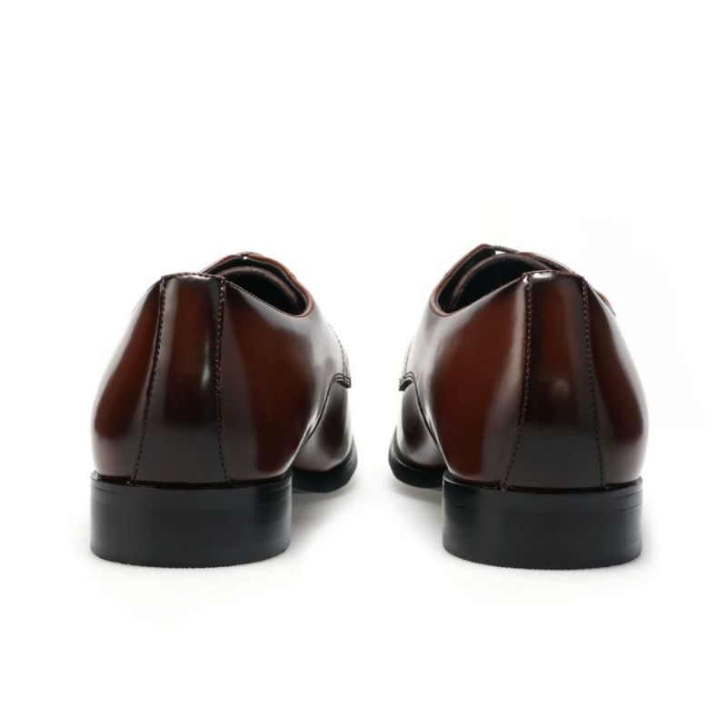 アリストプリモ メンズ ドレスシューズ 外羽根プレーントゥ 日本製 AristoPrimo a-8002