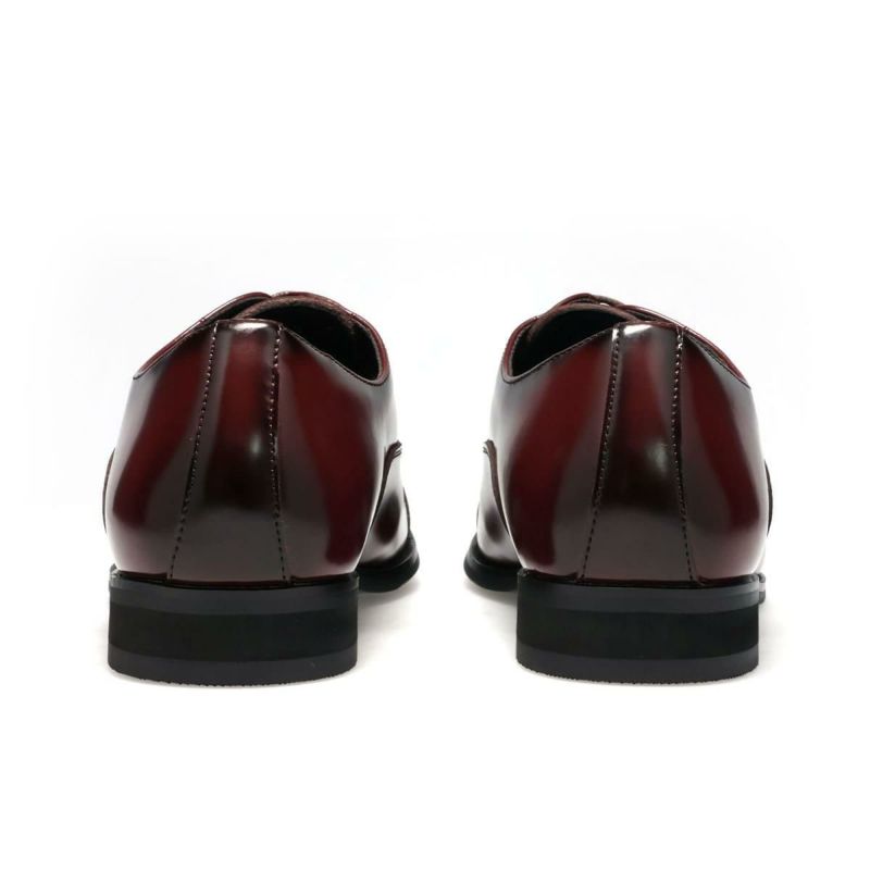 アリストプリモ メンズ ドレスシューズ ストレートチップ 日本製 AristoPrimo a-9000