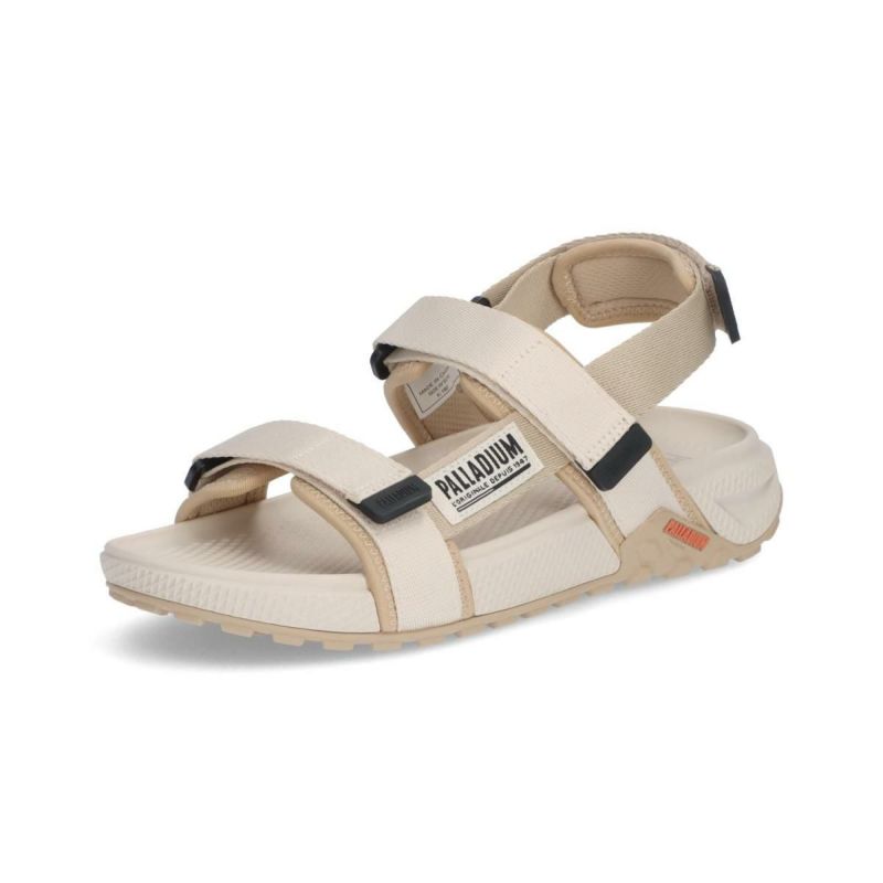 パラディウム メンズ カジュアルシューズ オフサンダルストラップ PALLADIUM 74682